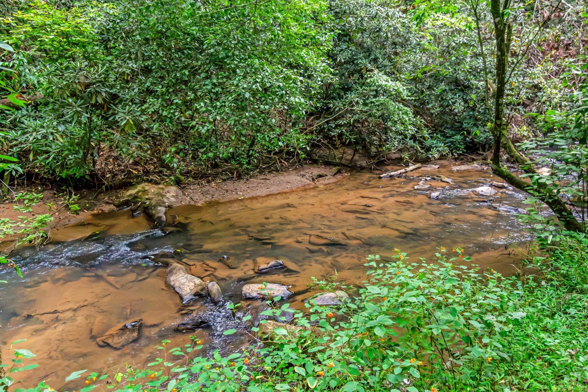 Amazing Creek View Cabin W/ Hot Tub, Firepit & Pool Table Ellijay Exteriér fotografie