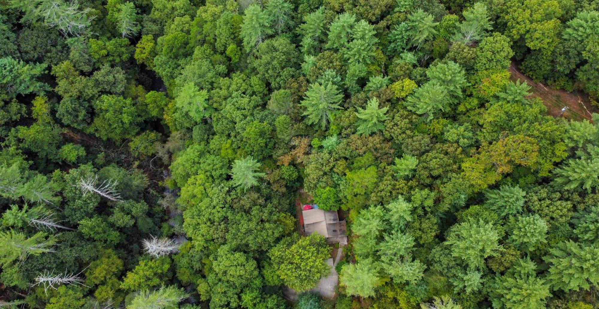 Amazing Creek View Cabin W/ Hot Tub, Firepit & Pool Table Ellijay Exteriér fotografie
