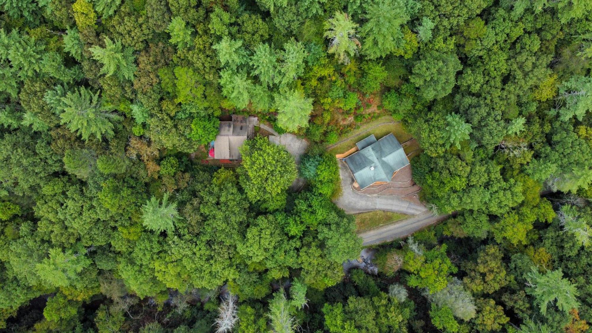 Amazing Creek View Cabin W/ Hot Tub, Firepit & Pool Table Ellijay Exteriér fotografie